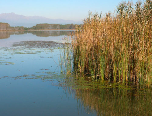 Parc Naturel du lac de Candia