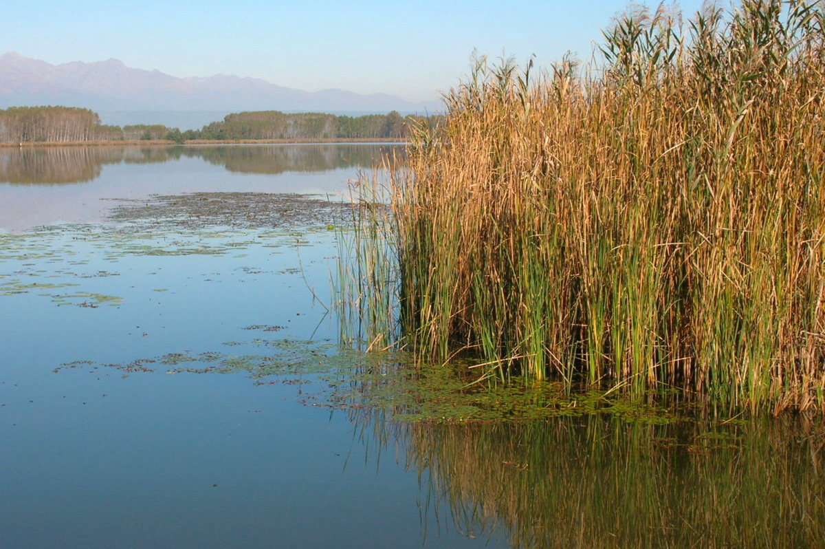 Lago di Candia