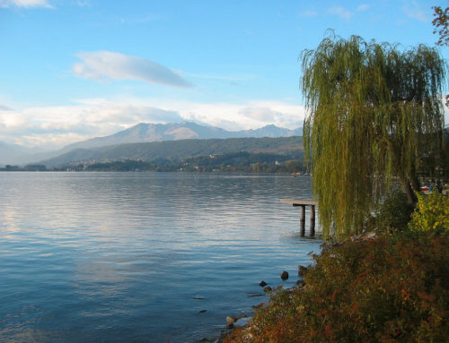 Viverone Lake