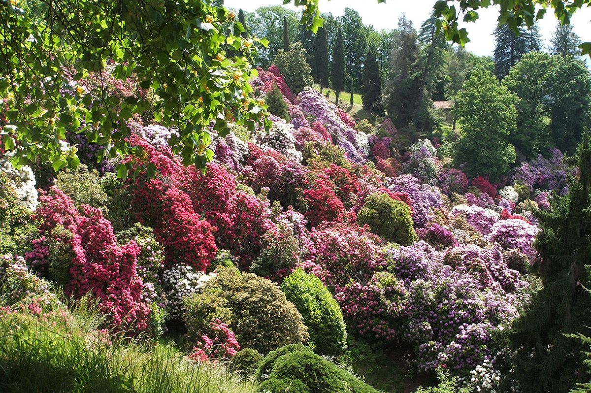 Parco_della_Burcina | B&B antiche Pietre