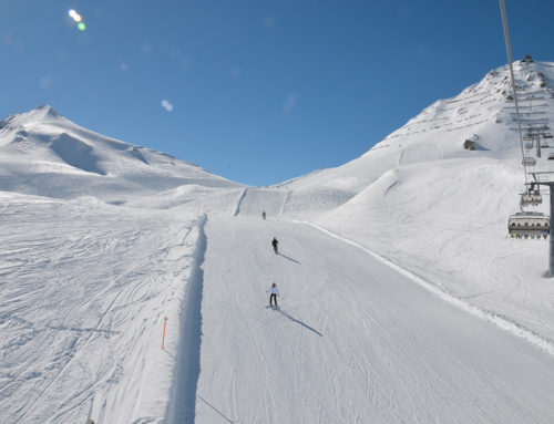 Skiing, snowshoes and cross-country skiing